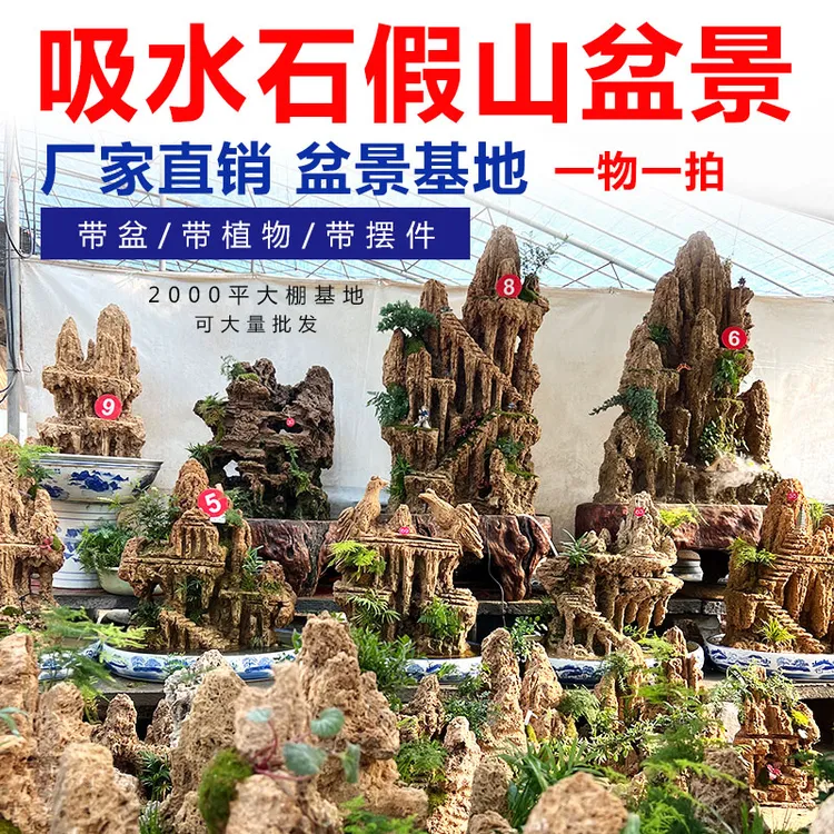 天然吸水石盆景上水石原石假山室内造景摆件微景观奇石水锈石装饰