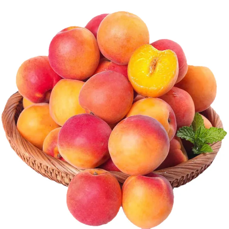 贵妃红杏大黄杏新鲜现摘应季水果酸甜可口甜味饱满清香轮台小白杏