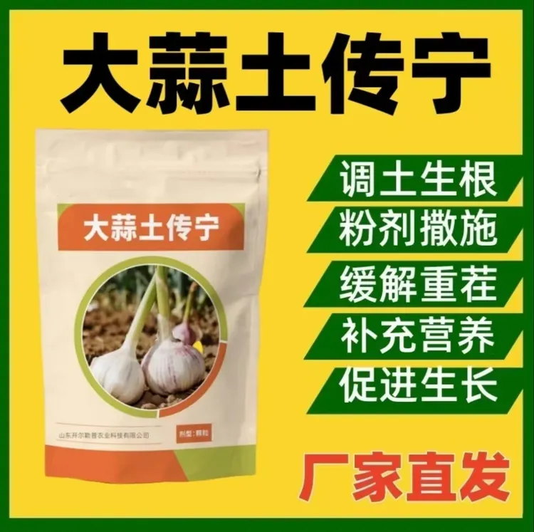 大蒜土传宁大蒜种植因生根壮苗艾调理土壤提质氏增产中量元素肥