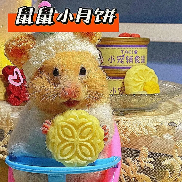 仓鼠月饼金丝熊蜜袋鼯狗月饼宠物月饼中秋节磨牙仓鼠宠物猫狗零食