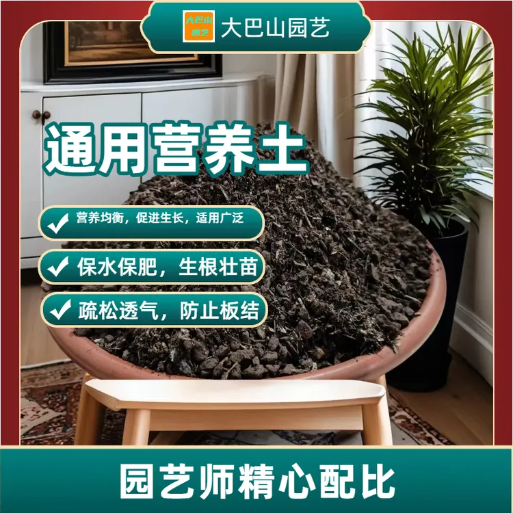 种菜批发营养土腐熟土腐叶土花卉绿植盆景通用营养土养花种多肉