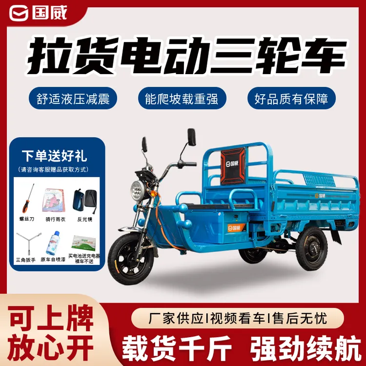 国威电动三轮车家用摆摊农用爬坡山区拉货大功率电动三轮车拉货