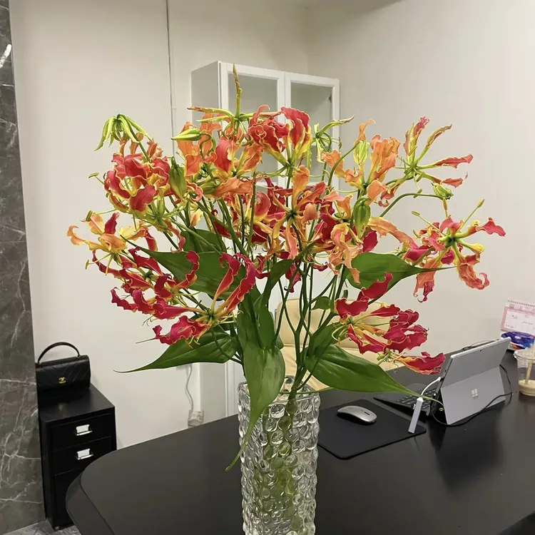 稀有年宵花嘉兰百合高档瓶插花昆明直发日本进口花材鲜切花水养