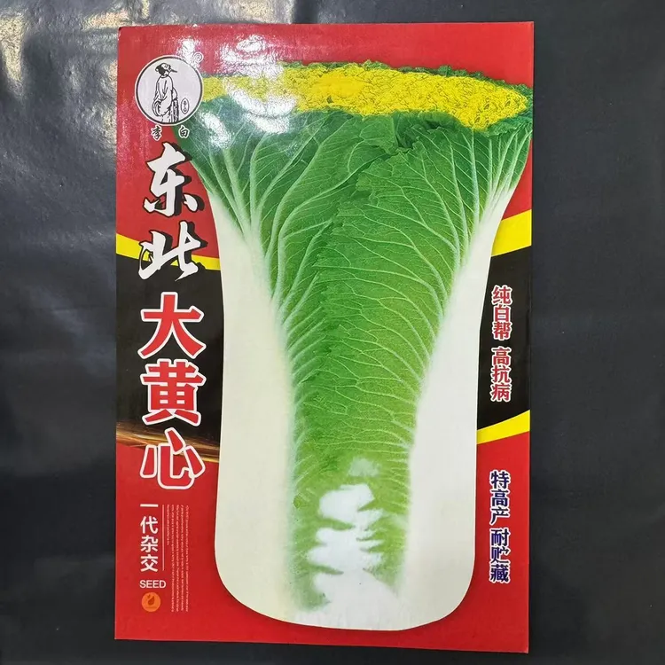 东北大黄芯白菜种子适合腌酸菜冬储口感好