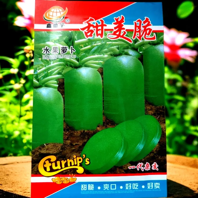 甜美脆水果萝卜种子10克左右