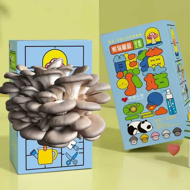 【八块九包邮】蘑菇种植菌包平菇蘑菇盒家庭室内种植蘑菇科学小实验