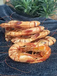 【翠凤】九节虾天然海虾干淡口不咸煮粥煮面条好吃又营养
