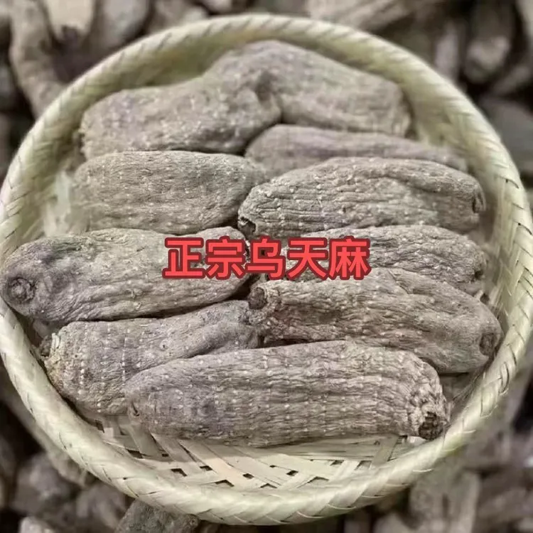 新货甄选高山干乌天麻 深山采挖自然滋补可煲汤泡酒