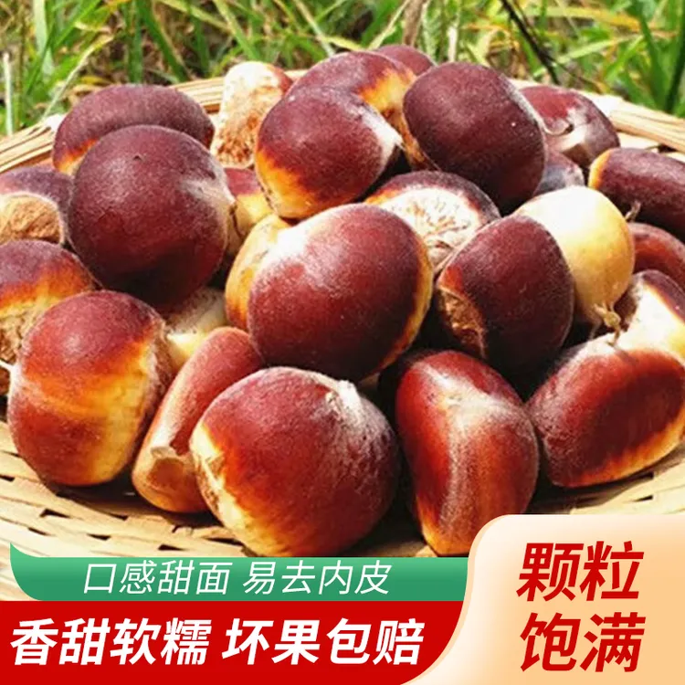 大别山石婆店村新鲜现摘上海青红白壳嫩板栗香甜粉糯哥哥