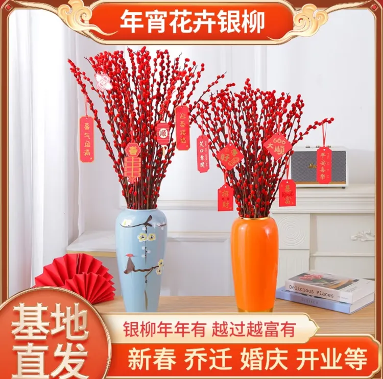 招财银柳真花鲜枝红色干花水培植物客厅室内装饰年宵花卉