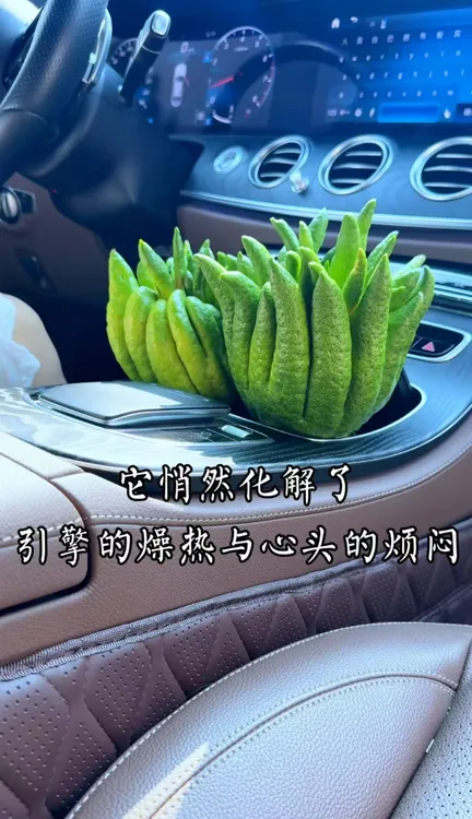 新鲜佛手果高档佛手柑观赏鲜果水培现发茶几摆放清供礼佛摆件微瑕