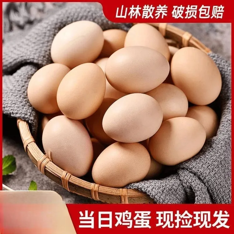 【50枚】30枚土鸡蛋孕妇散养土鸡蛋正宗农家10枚高山30枚鲜鸡蛋