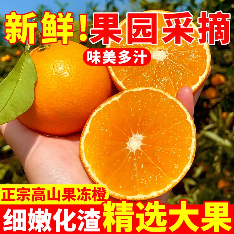 四川青见果冻橙 手剥橙 当季新鲜柑橘水果橘子桔子
