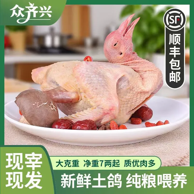 顺丰包邮农家散养土鸽子新鲜现杀乳鸽急冻锁鲜鸽子肉