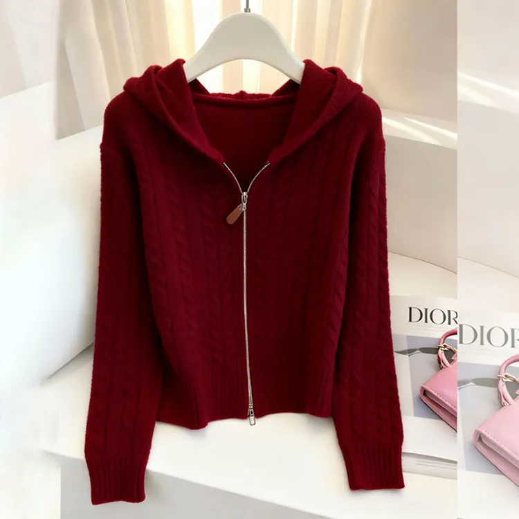 2025秋冬款连帽针织开衫毛衣女气质轻熟风上衣设计感别致百搭小衫