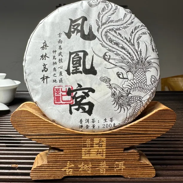 《凤凰窝》2023年易武【森林高杆】普洱茶生茶200克茶饼