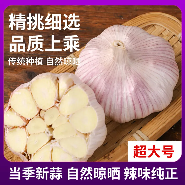 2025年新干蒜紫皮河南大蒜特大新鲜便宜大蒜原产地直发批发价