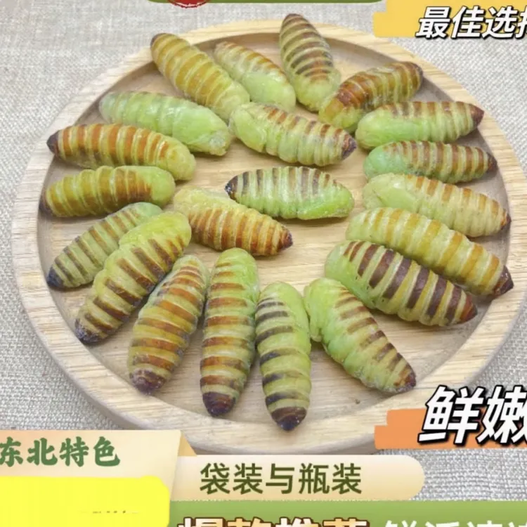 东北小神仙蚕蛹神仙蛹食用昆虫大全柞树蚕蛹鲜活瓶装速冻自家放蚕