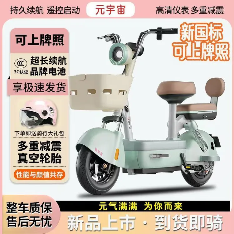 新国标电动车48V可上牌成人男女士元宇宙电动自行车轻便代步车