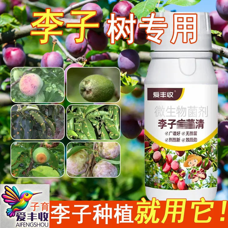 爱丰收李子微生物菌剂李子专用李子微生物菌肥保花保果李子专用