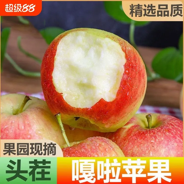 【2025鲜果米奇拉】早熟嘎啦苹果新鲜应季粉面酸甜口感刮泥辅食QY