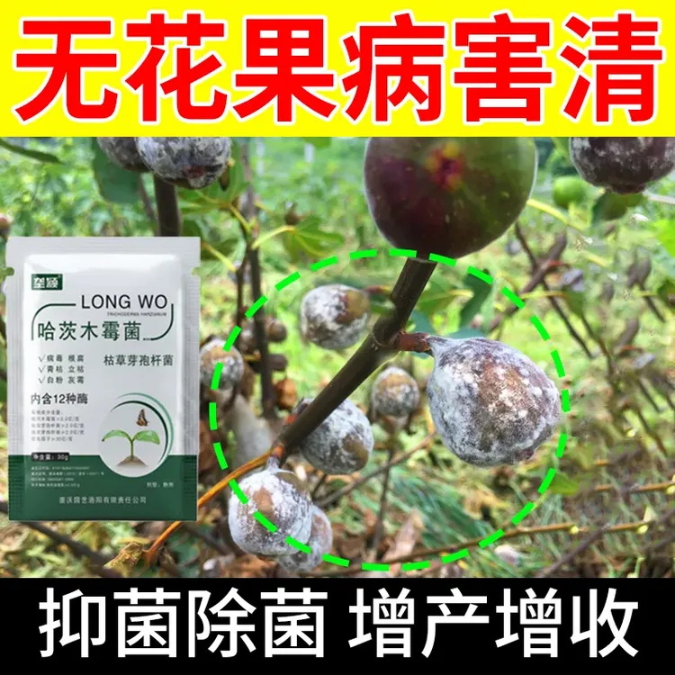 无花果病害专用哈茨木霉菌剂果子枯萎病害急救肥