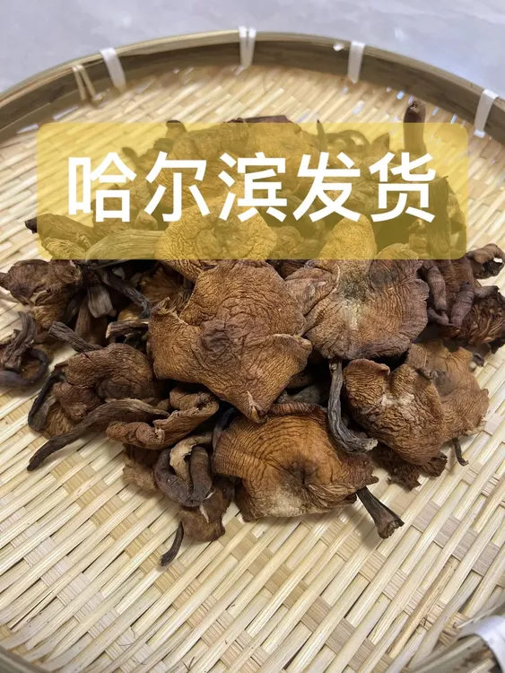 东北榛蘑野生榛蘑榛蘑干货东北特产小鸡炖蘑菇哈尔滨发货