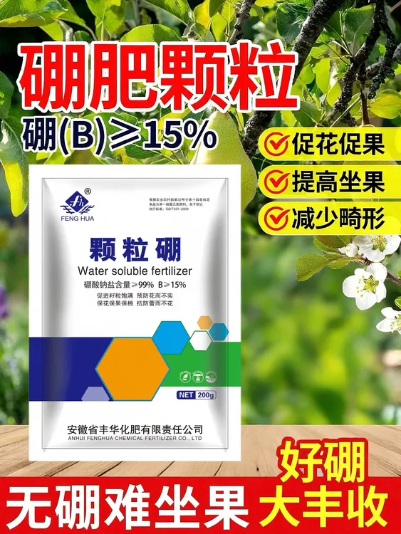 颗粒硼基施追施农用硼肥缓释型颗粒硼肥料补硼肥微量元素水溶肥药