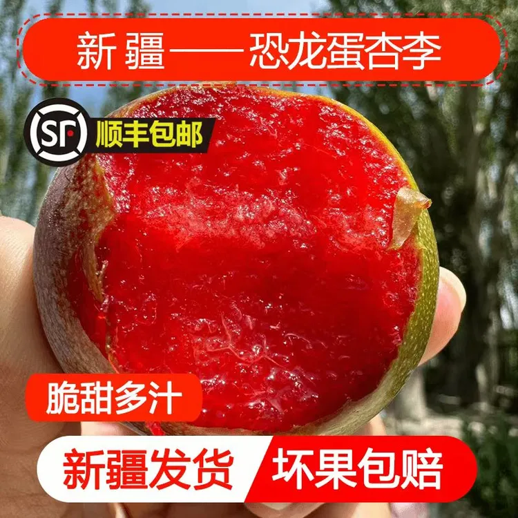 【顺丰空运】新疆恐龙蛋李子杏李酸甜可口精品多汁精选包赔产地发货