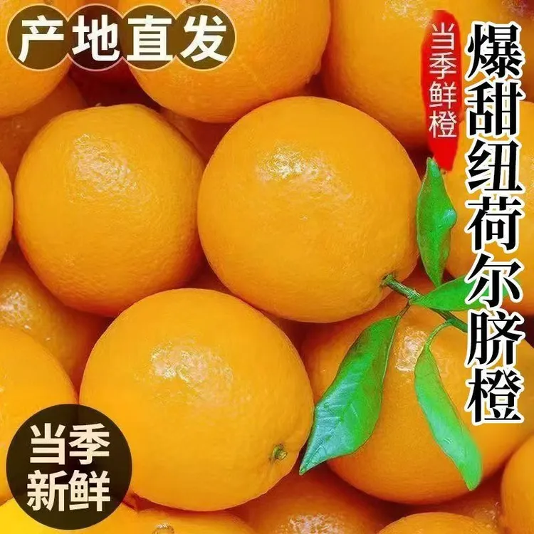 【爆甜多汁】纽荷尔脐橙正宗新鲜皮薄多汁香甜可口新鲜现摘水果