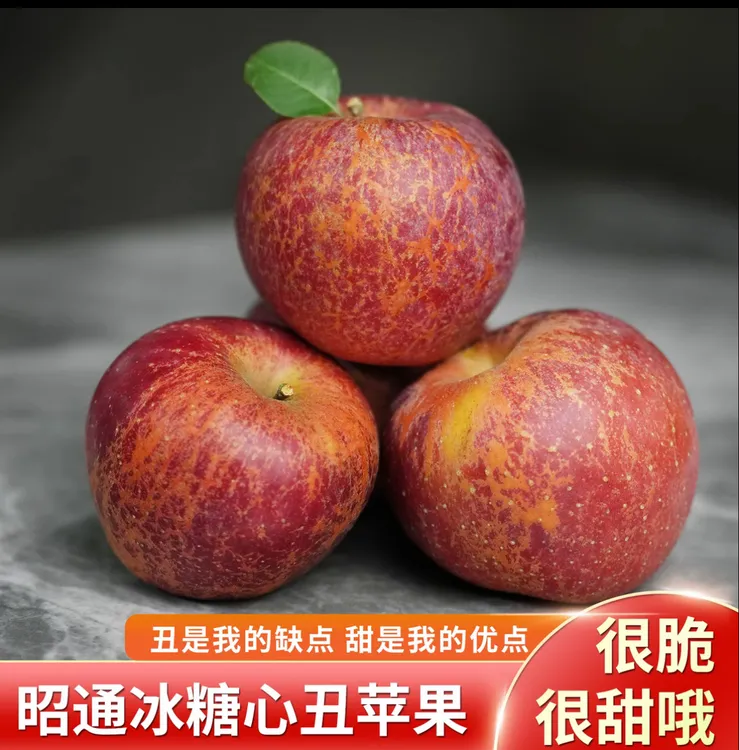 正宗云南昭通丑苹果当季新鲜水果脆甜生态冰糖心苹果现摘5/9斤