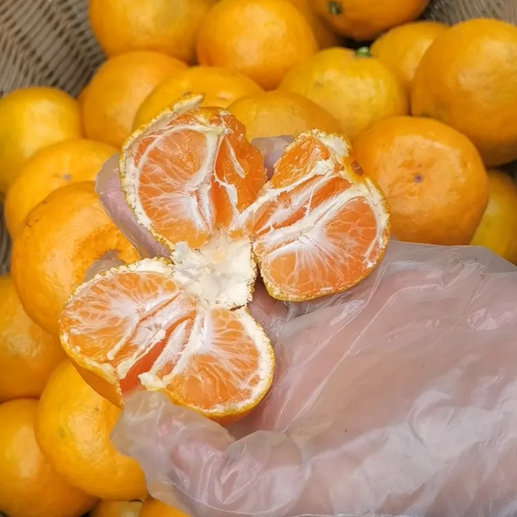 （江浙沪次日达）【精品小果】正宗临海高山无核蜜桔当季新鲜水果