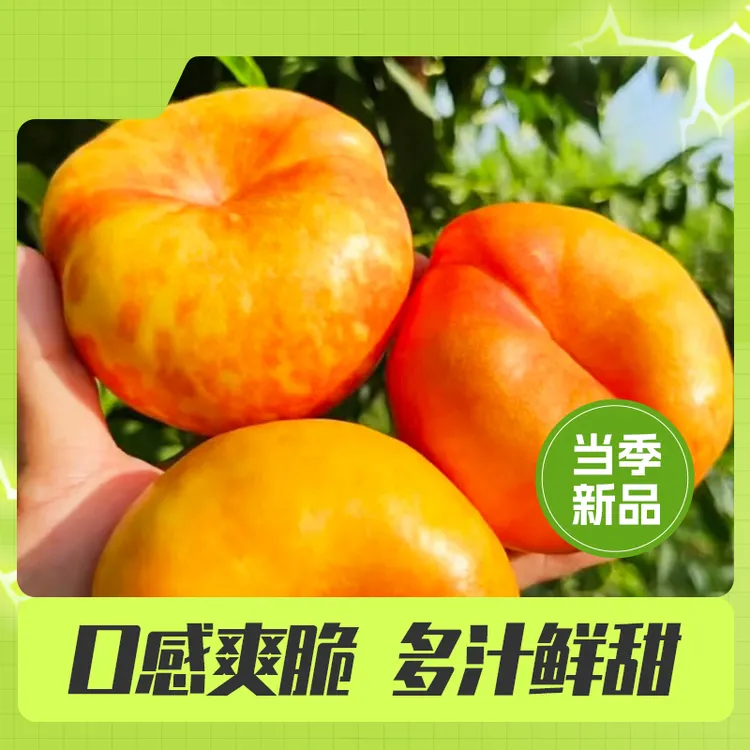 山东蒙阴彩虹油蟠桃香甜多汁新鲜夏日应季水果