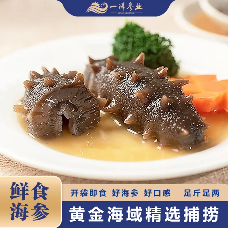 【当季热销】即食海参/3-5头500g装一洋海参滋补国产顺丰包邮