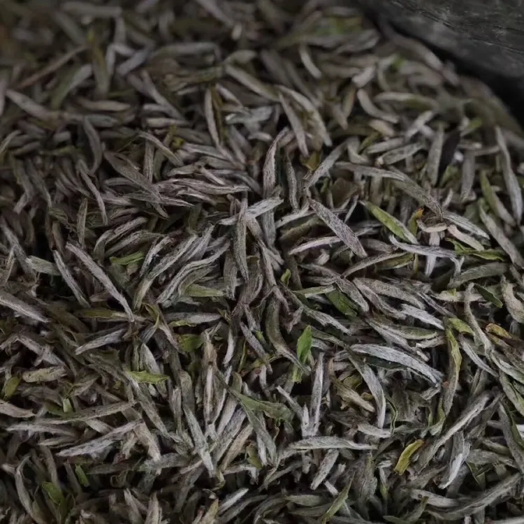 【50克分享】2025年磻溪炭焙 特级白毫银针散茶新针