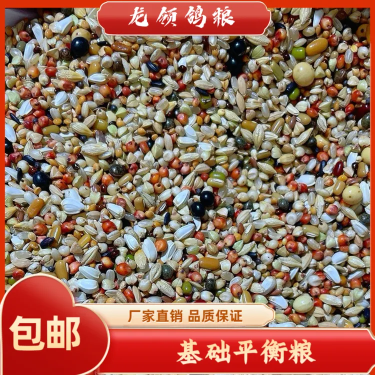 龙领鸽粮基础平衡粮10/20/50斤包邮换羽小颗粒