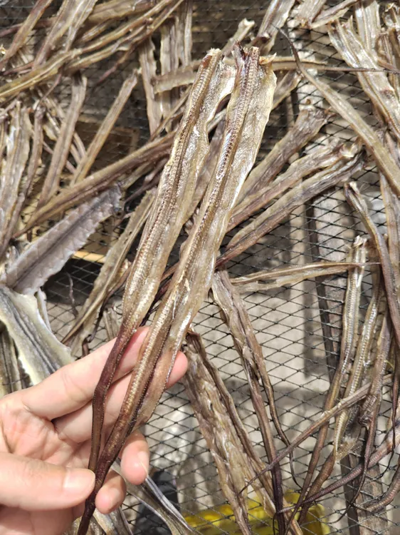 自家晒甜粉鳝鱼干，洗净+白糖+少许盐+阳光，无添加剂，好吃又健康