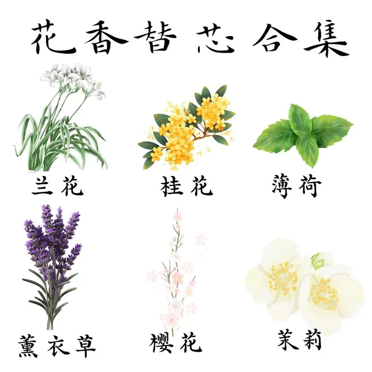 【透明st花香味替芯合集】【不速干】按动替芯考试办公可用0.5mm黑