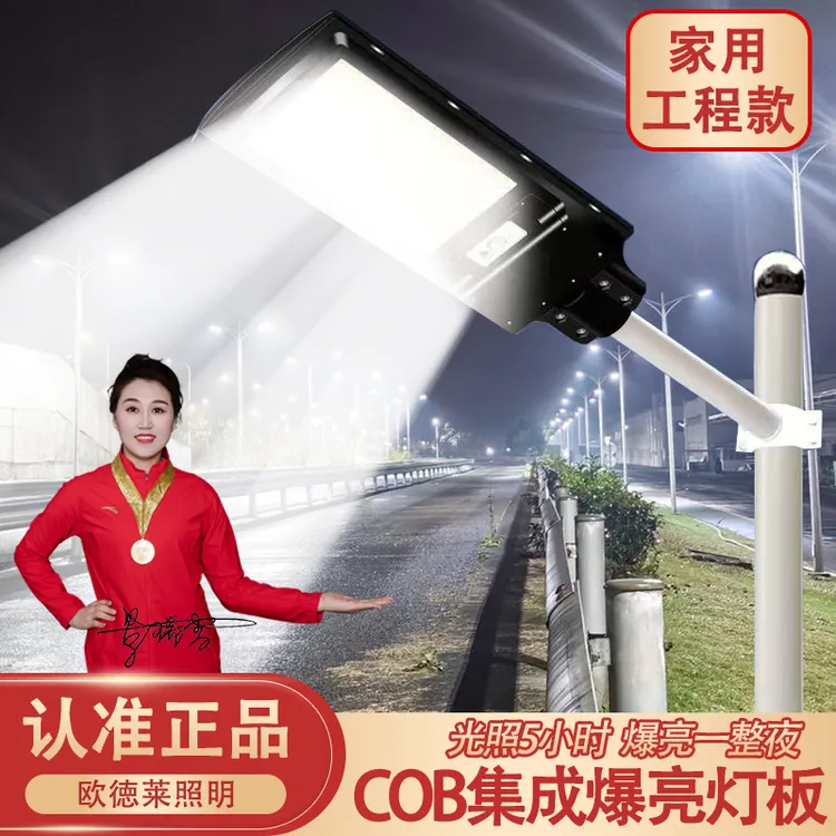 【活动价】2025升级Cob太阳能路灯庭院灯感应遥控防水家用工程款