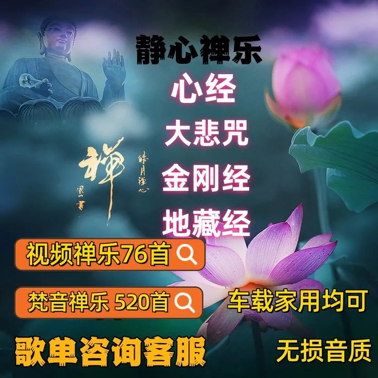 车载禅歌大悲咒观音cd盘存卡放松静心音乐地藏经六字五音心经无损