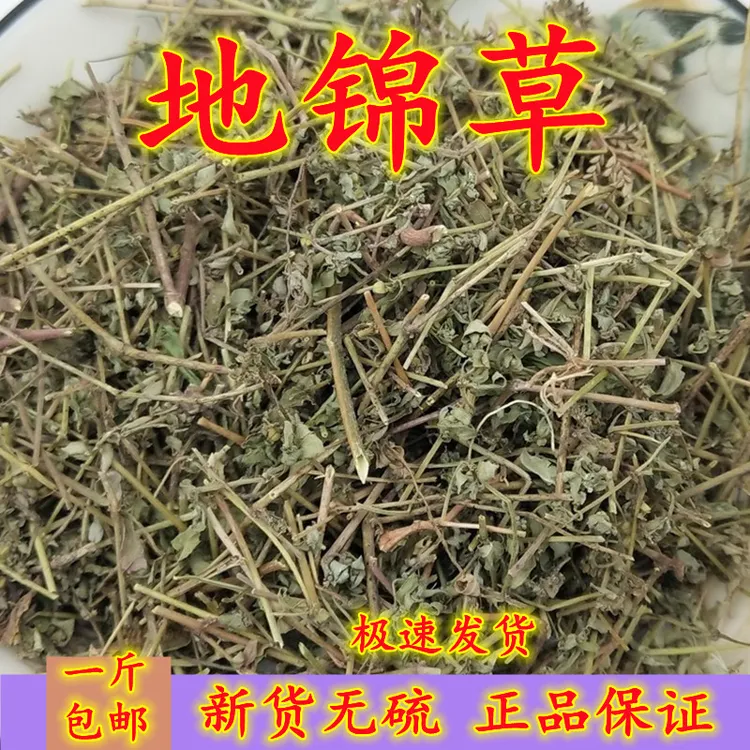 野生地锦草草血竭血见愁奶汁草铺地锦草小飞扬草500g包邮非益母草