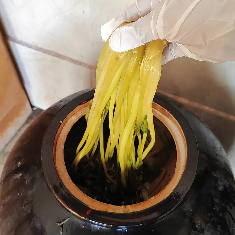 信阳农家特色传统美食下饭菜腌菜腌箭杆白腌长杆菜