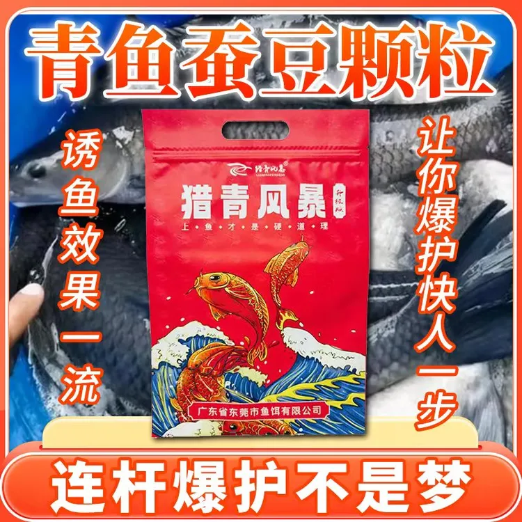 新款春夏季钓青鱼蚕豆颗粒大青窝料黑坑专用挂钩皮筋青鱼颗粒饵料