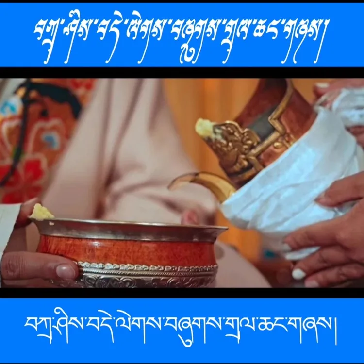 2025最新名族酒歌