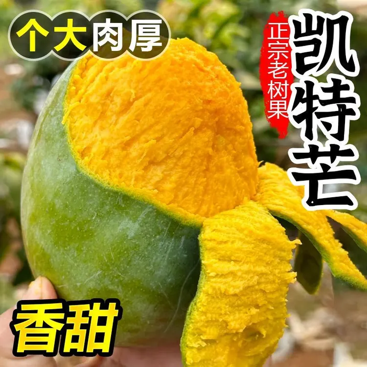 【催熟后食用】攀枝花凯特芒果4.5斤/8.5斤装