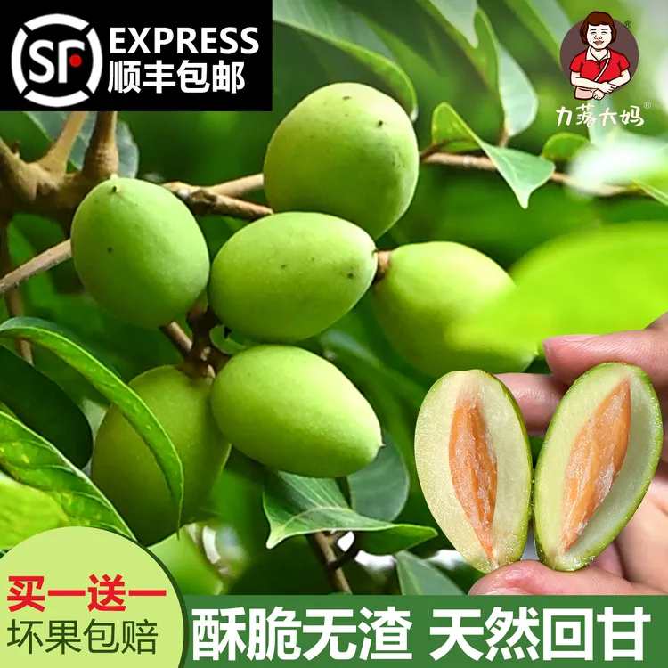【顺丰包邮】潮汕大妈正宗青枣橄榄新鲜现摘酥脆回甘生吃橄榄两斤