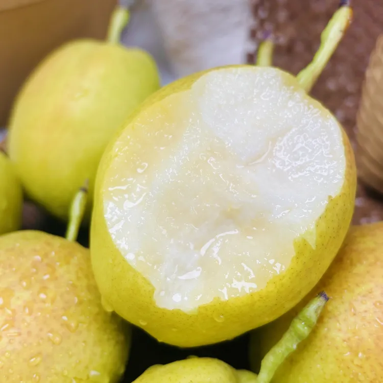 新疆库尔勒香梨新鲜多汁酥脆当季水果鲜脆皮薄