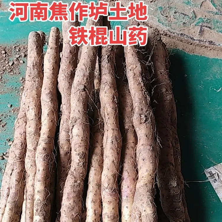【407028—01】焦作垆土铁棍山药老少皆宜家庭装经济实惠37公分2.5kg
