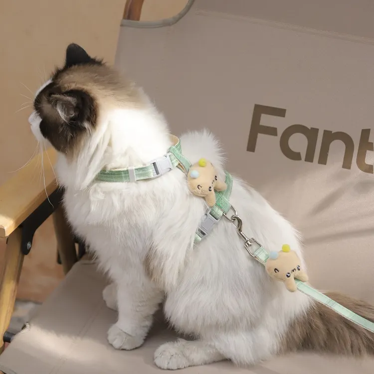 猫咪牵引绳防挣脱外出专用小猫遛猫牵引绳宠物胸背带工字型可调节