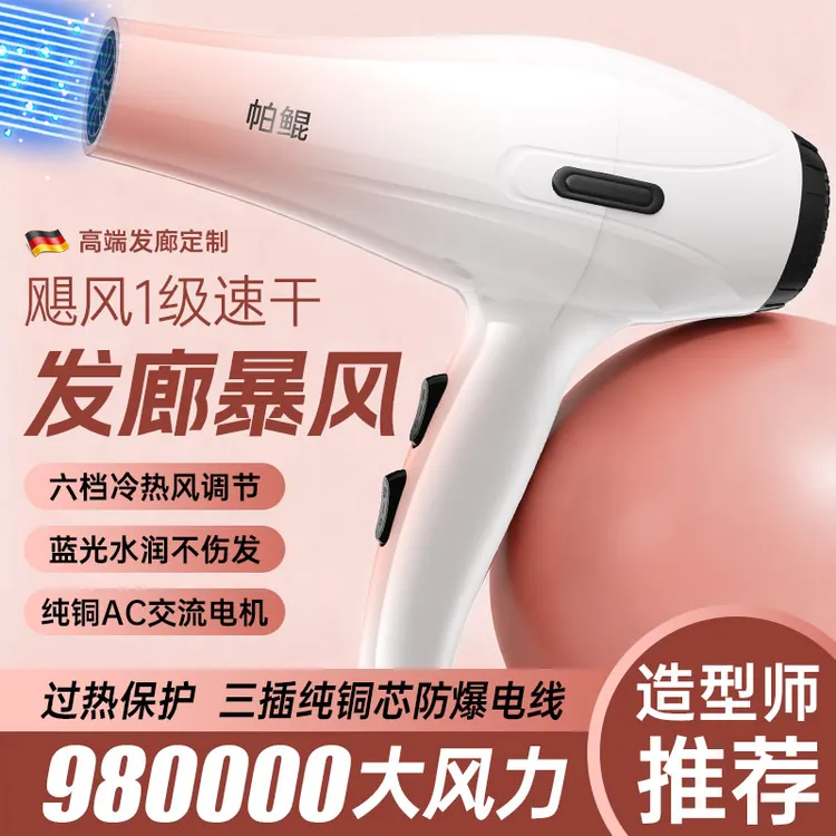 电吹风机大功率5000理发店专用风力发廊3000家用负离子99000速干W
